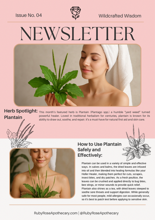 Herb of the Month - September: Plantain