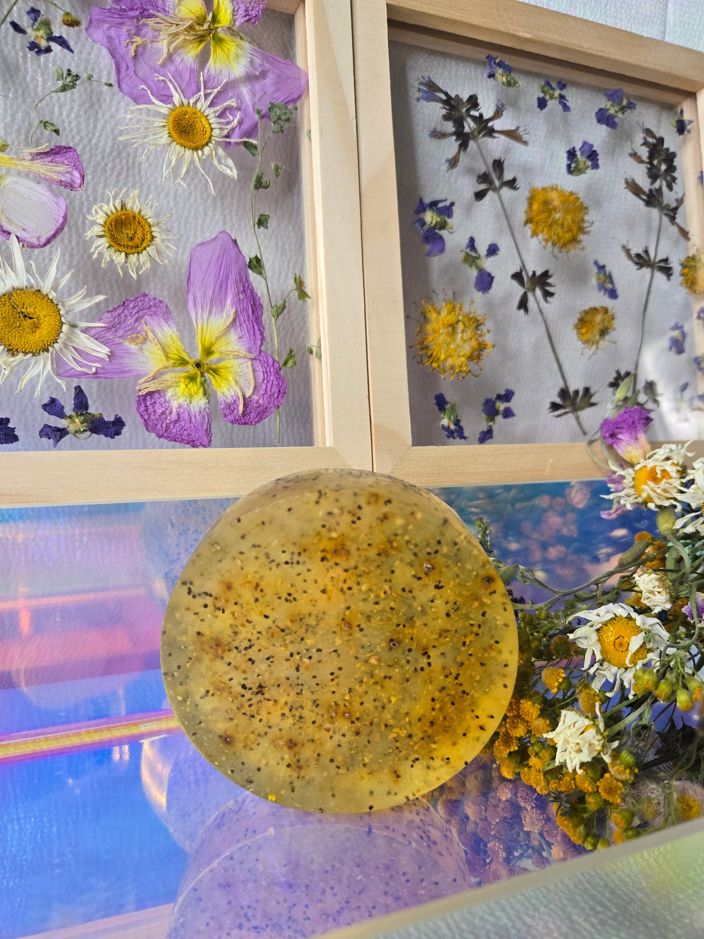 Golden Hour Face + Body Bar | Blood Orange • Honey • Gentle Exfoliation | Radiance & Nourishment