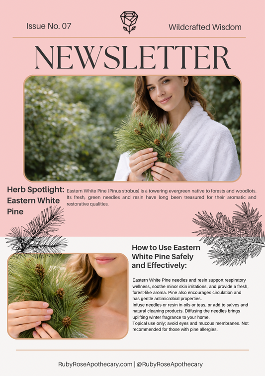 Herb of the Month - December: Eastern White Pine