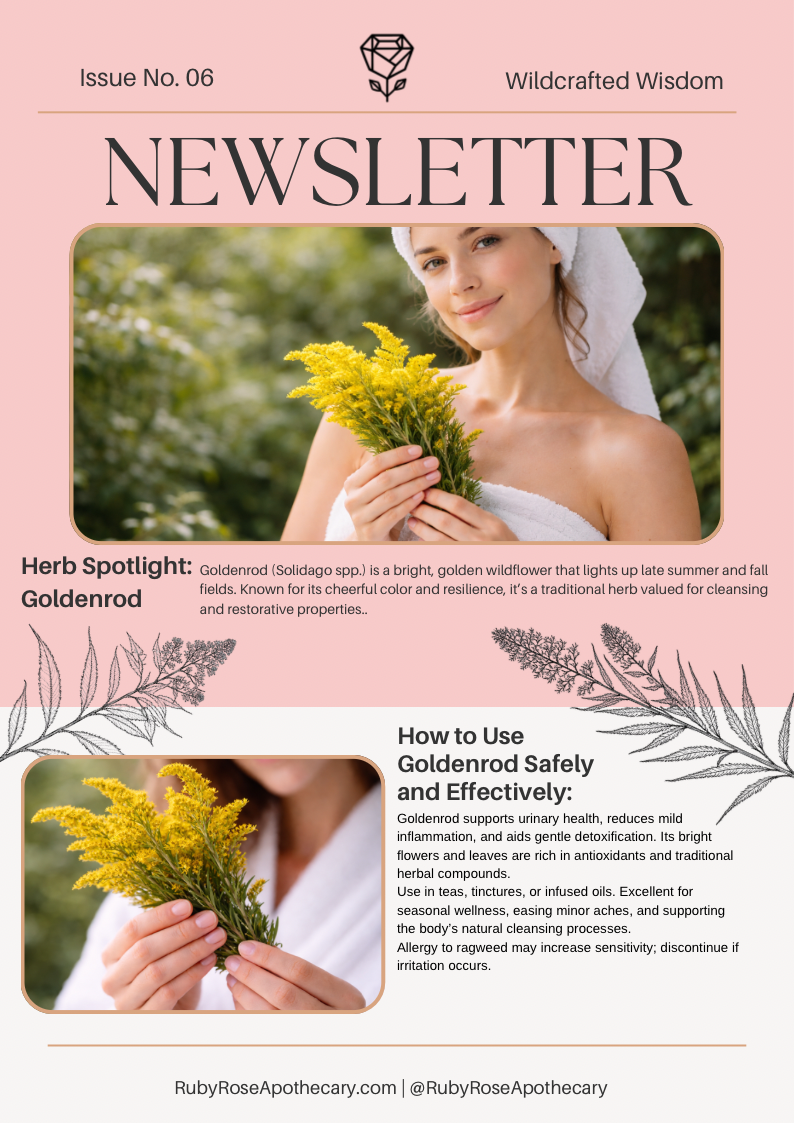 Herb of the Month - November: Goldenrod