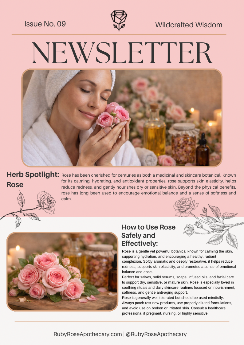 Herb of the Month - February: Rose