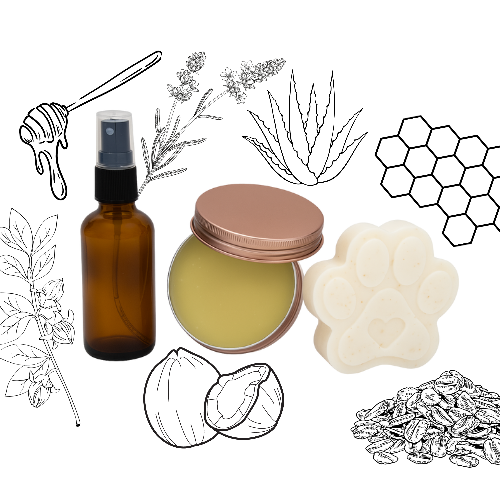 Head to Tail Canine Care Bundle | Honey + Oat Soap • Lavender Anti-Itch Mist • Snout + Sole Protector