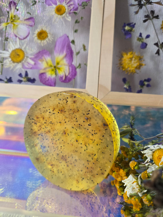 GOLDEN HOUR | EXFOLIATING FACE + BODY BAR | BLOOD ORANGE • HONEY • POPPY SEED