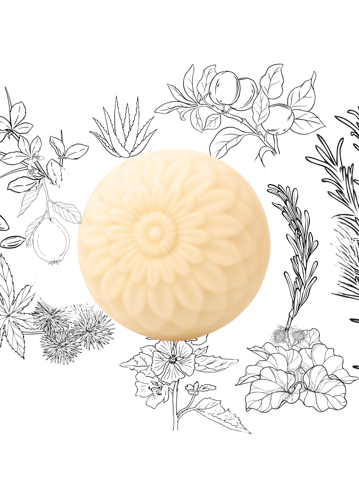 Root Revival Conditioning Concentrate Mask | Botanical Multi-Use Hair Mask for Growth & Repair