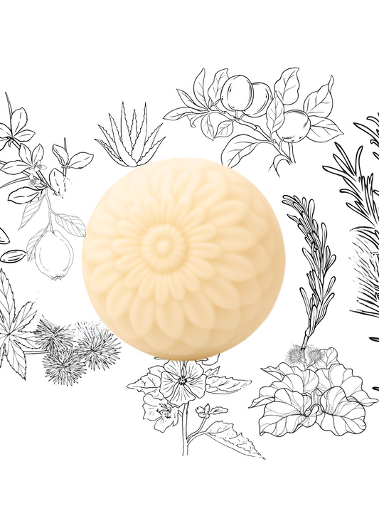 Root Revival Conditioning Concentrate Mask | Botanical Multi-Use Hair Mask for Growth & Repair